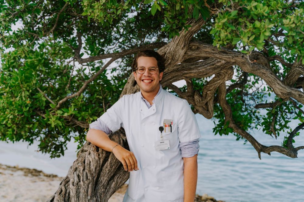 Gregory Helmich artscoschap Aruba