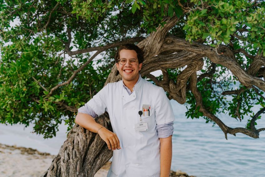 Gregory Helmich artscoschap Aruba